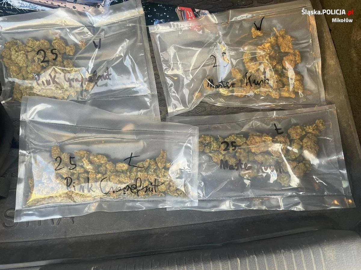 Kryminalni z Mikołowa przejęli ponad 1,5 kg marihuany