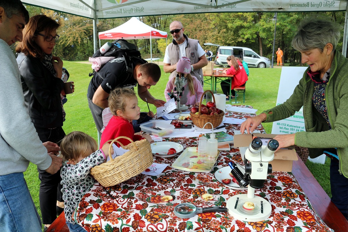 Świętuj Dzień Jabłoni i odkryj skarby natury!