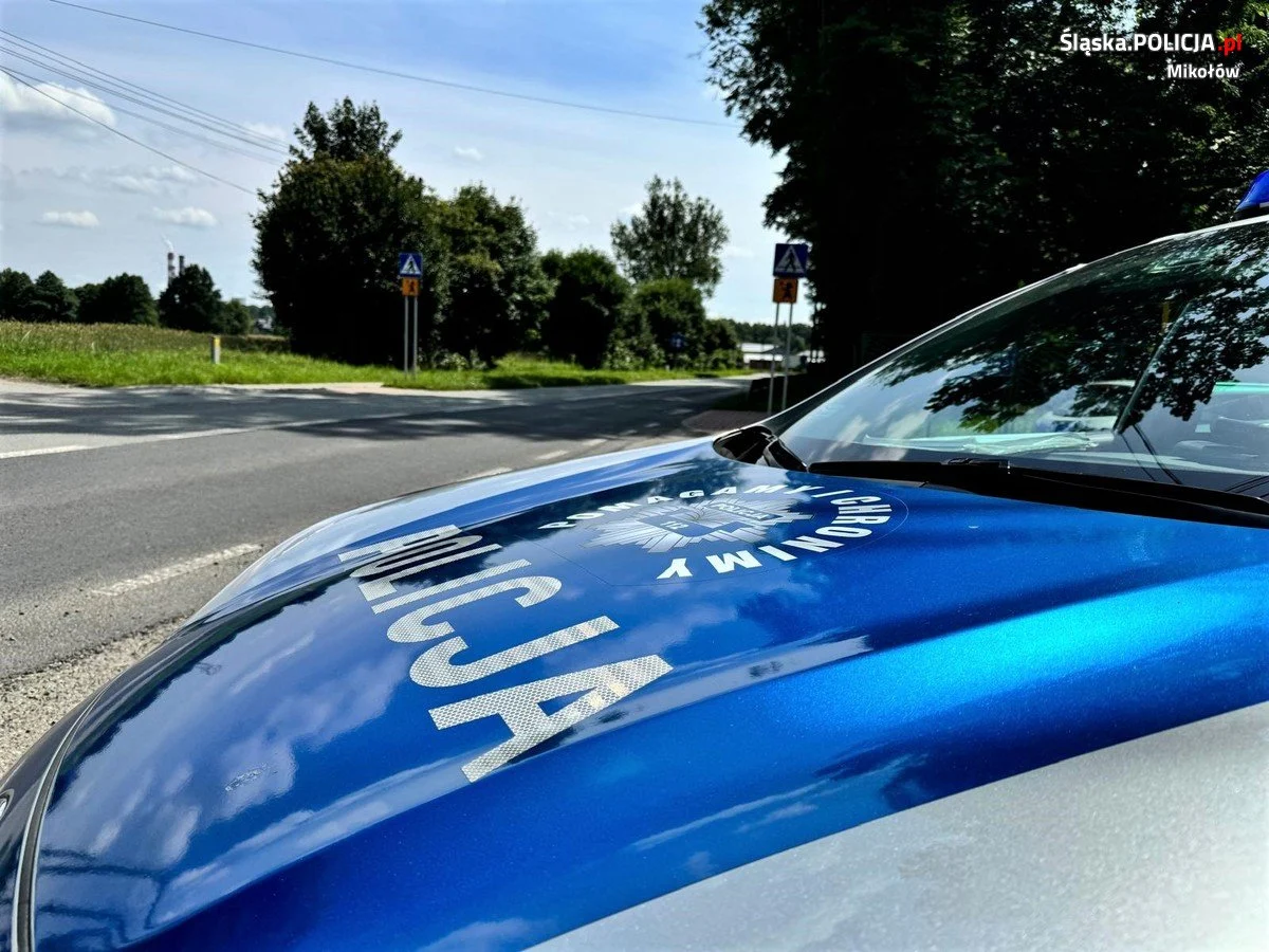 Akcja „Bezpieczny Pieszy” w Mikołowie – 50 wykroczeń ujawnionych w jednym dniu