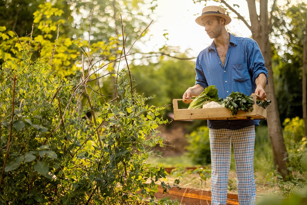 Zmień swoją pasję w zawód – zostań technikiem ogrodnictwa