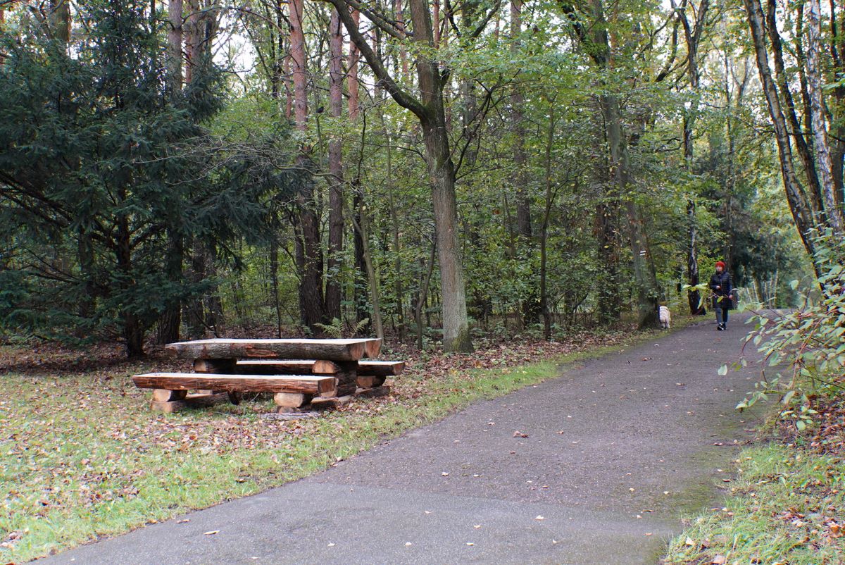 Zielona przestrzeń Katowic – 26 nowych ławostołów przy leśnych trasach