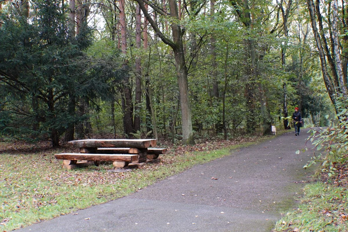Zielona przestrzeń Katowic – 26 nowych ławostołów przy leśnych trasach