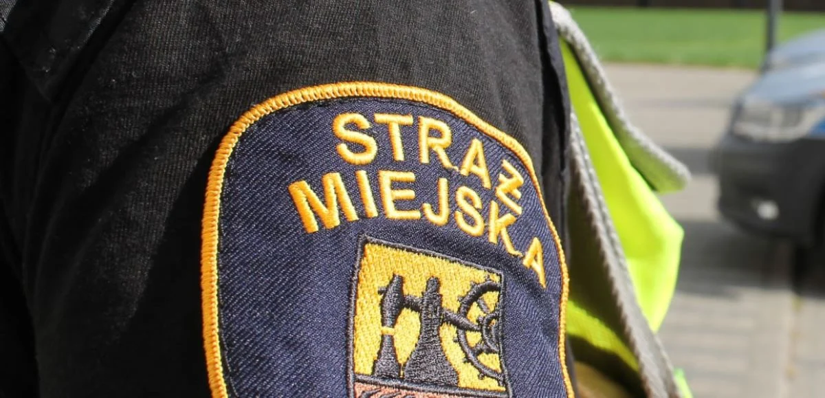 Strażnicy miejscy zatrzymali złodzieja chwilę po kradzieży na ul. 3 Maja