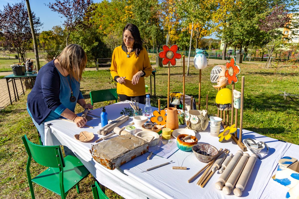 Katowicki projekt klimatyczny trafił do uczniów – nowy program w szkołach podstawowych
