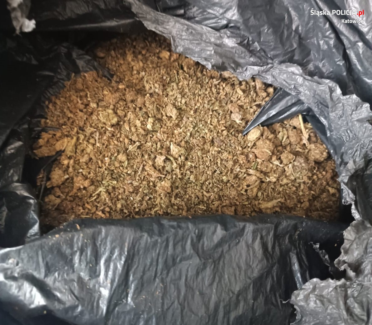 Katowicka policja zatrzymała 37-latka z 750 gramami narkotyków