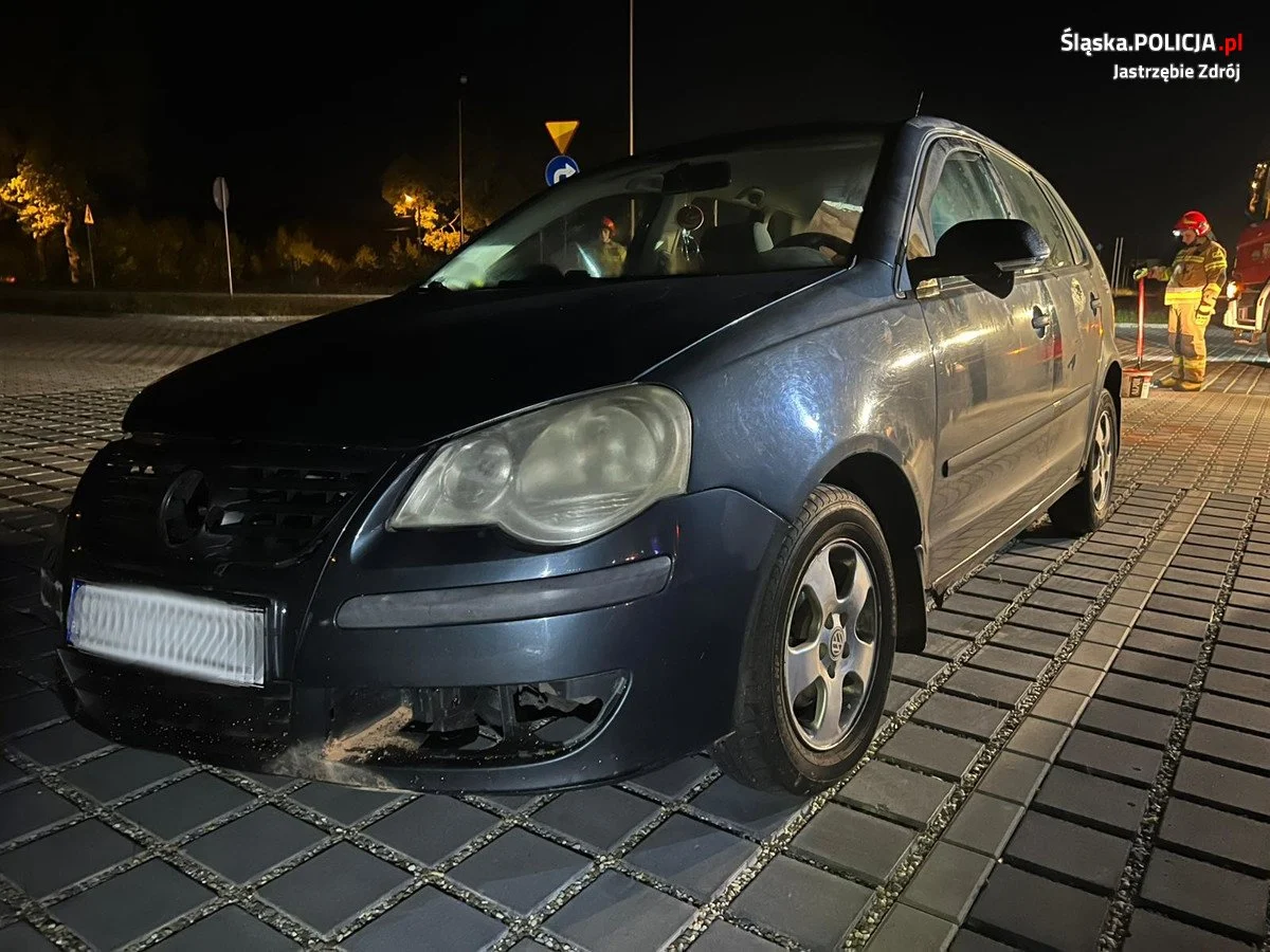 Natychmiastowa reakcja doprowadziła do szybkiego zatrzymania złodzieja