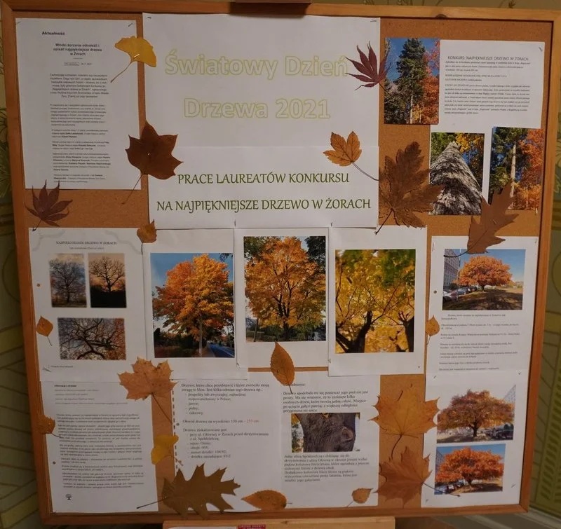 Światowy Dzień Drzewa 1