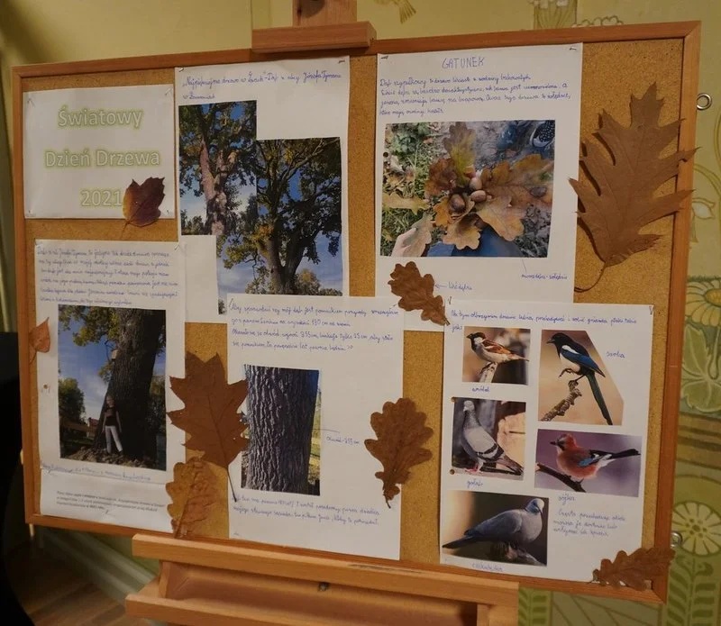 Światowy Dzień Drzewa 2