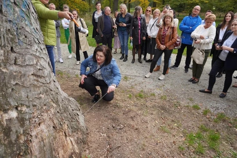 Światowy Dzień Drzewa 11