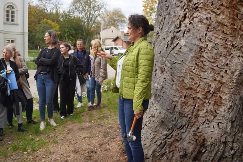 Światowy Dzień Drzewa 14