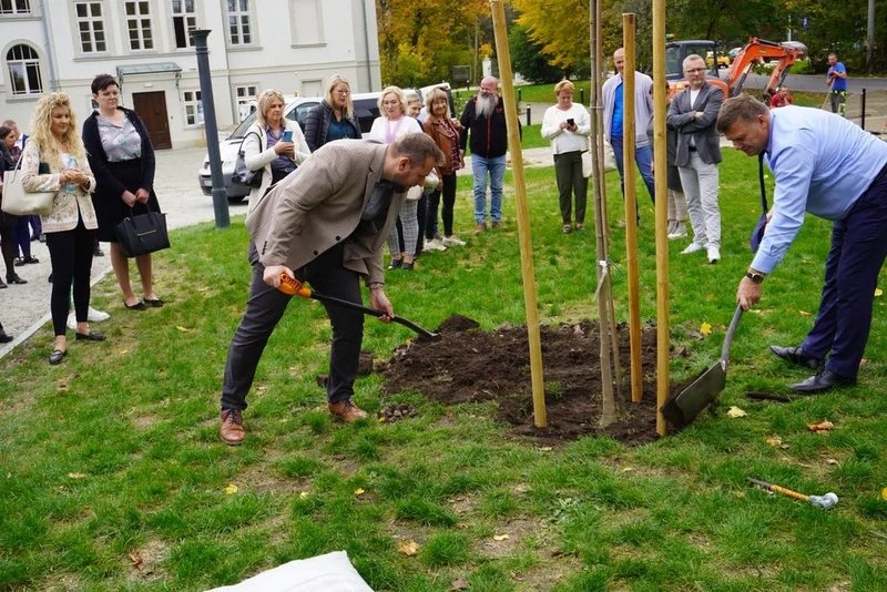 Światowy Dzień Drzewa 19