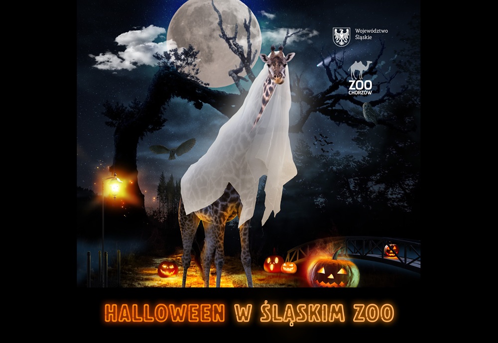 Halloweenowa przygoda w Śląskim ZOO już 27 października!