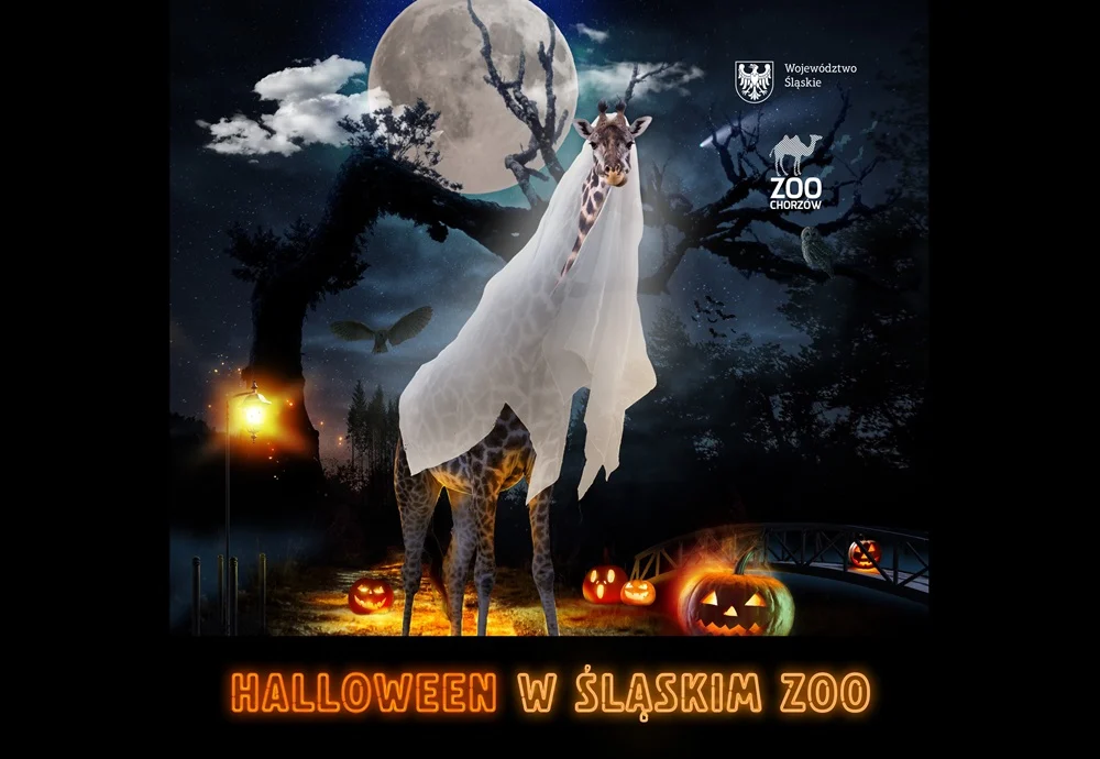 Halloweenowa przygoda w Śląskim ZOO już 27 października!