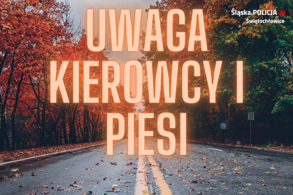 Jesienna aura a bezpieczeństwo na drodze – jak się przygotować?