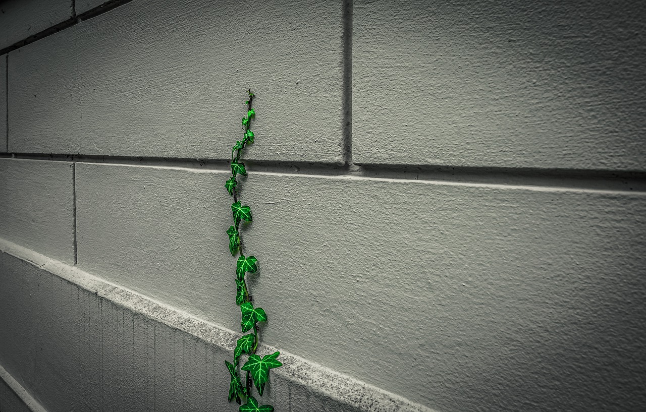 Elewacja wentylowana. Nowoczesne rozwiązanie dla energooszczędnych budynków