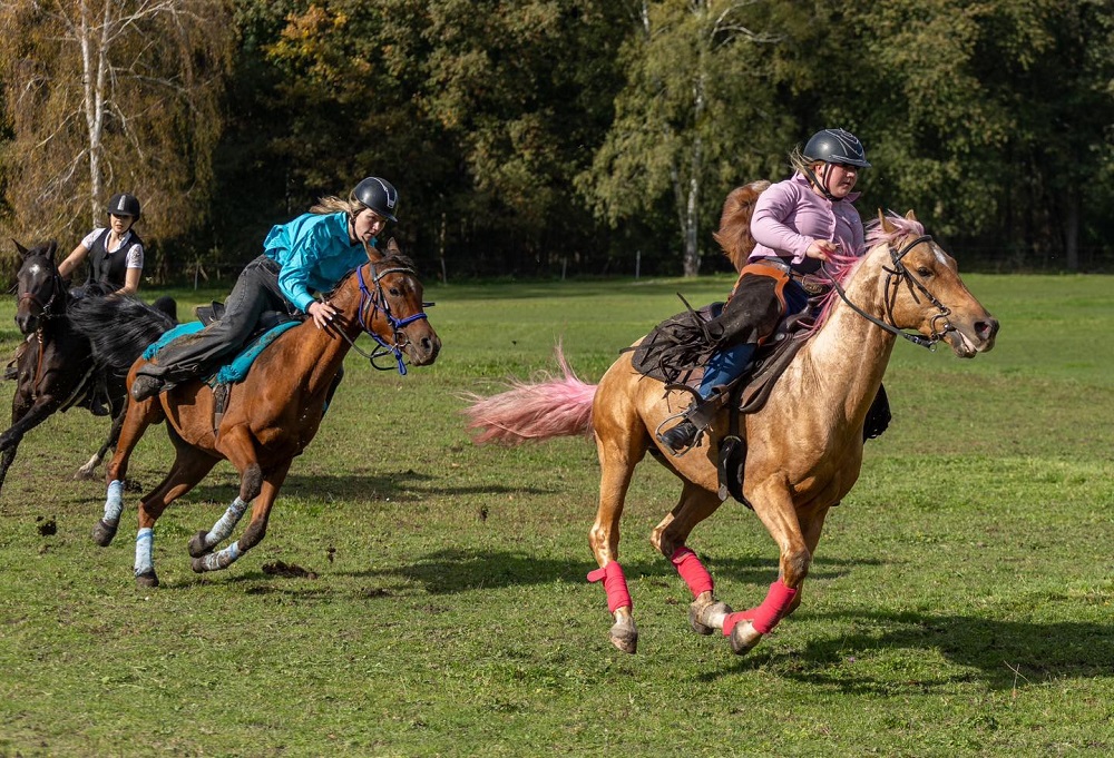 Hubertus 2024 w Zabrzu – tradycyjne święto miłośników jeździectwa [FOTO]