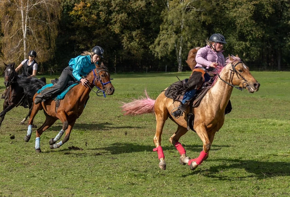 Hubertus 2024 w Zabrzu – tradycyjne święto miłośników jeździectwa [FOTO]