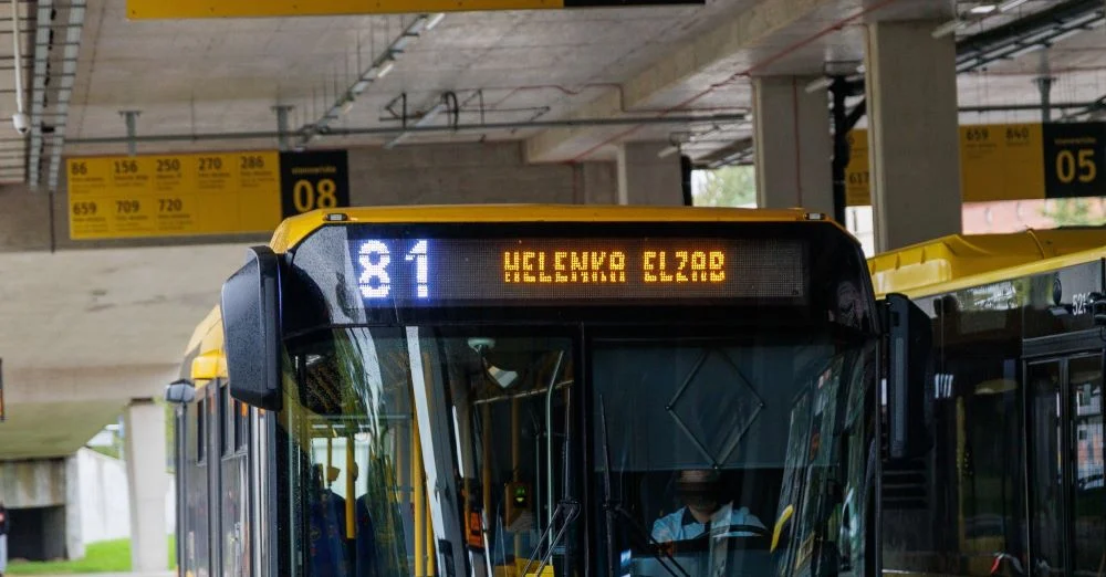 Linia nr 81 zostanie zlikwidowana? Mieszkańcy protestują