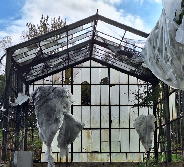 Wielkie zmiany w Miejskim Ogrodzie Botanicznym! Co ze starą zabudową?