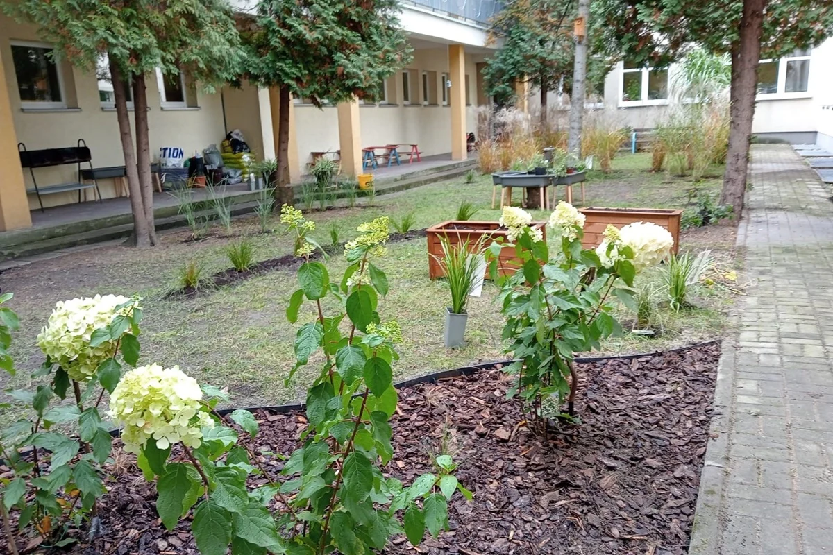 Powstał Eko-Ogród w Przedszkolu nr 48 – miejsce nauki, relaksu i kontaktu z naturą