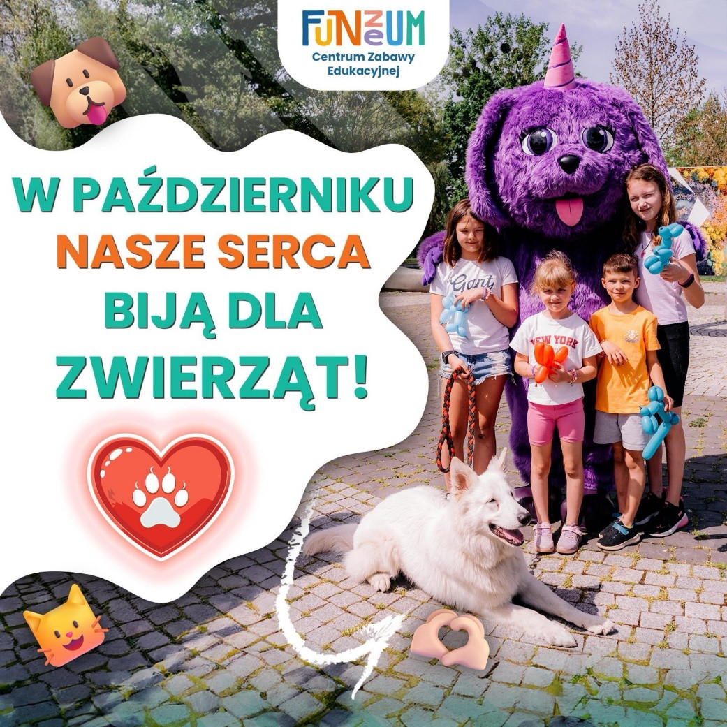 Centrum Zabawy Edukacyjnej Funzeum pomaga zwierzętom ze schroniska – uczymy zabawą i kształtujemy dobre wzorce dla dzieci!