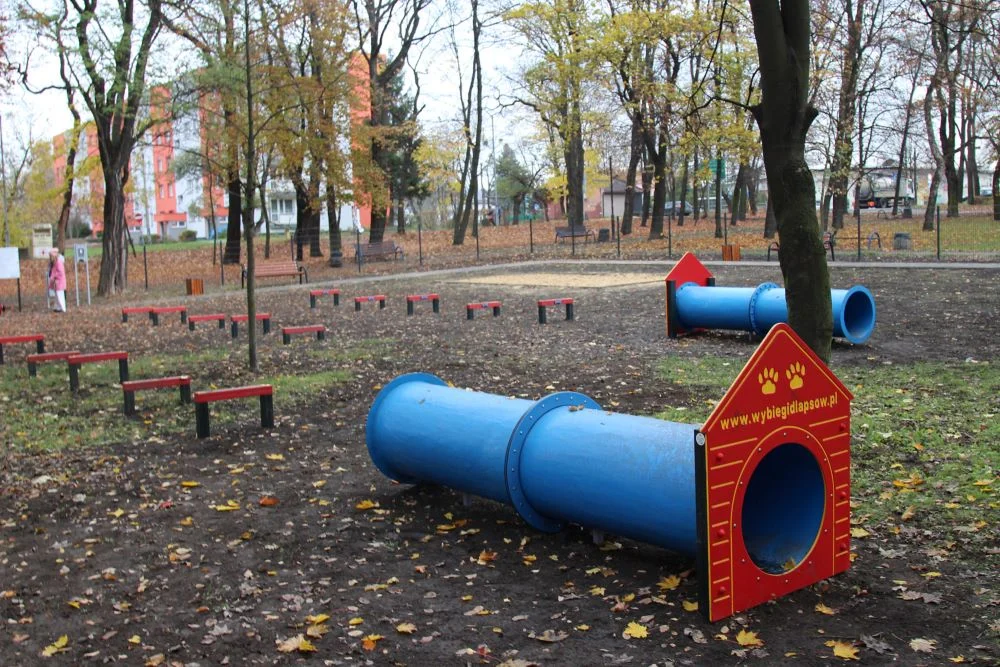 Dogula – wybieg dla psów w Parku Mickiewicza jest już gotowy!