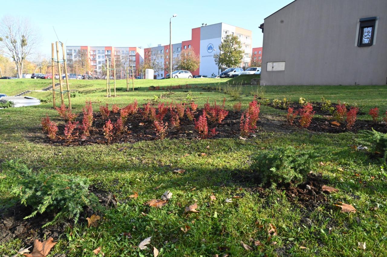 Pierwsze zadania w ramach Rudzkiej Inicjatywy Lokalnej 1