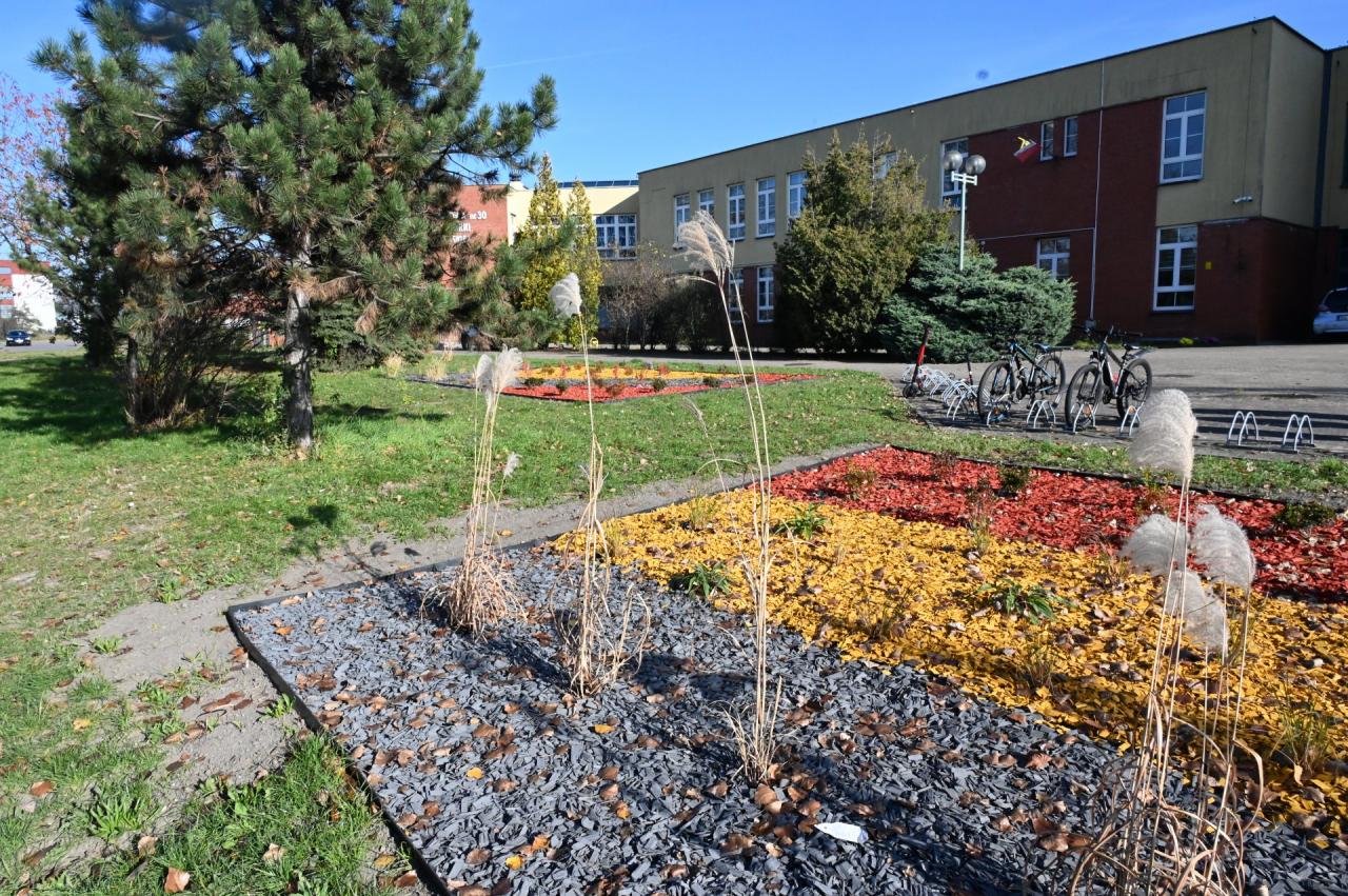 Pierwsze zadania w ramach Rudzkiej Inicjatywy Lokalnej 3