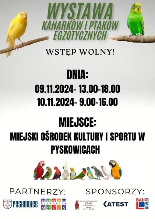 Przed nami wystawa kanarków i ptaków egzotycznych