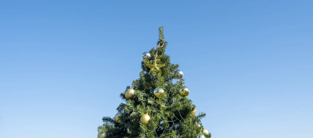 Grudniowe atrakcje w mieście: koncerty, spektakle i świąteczne wydarzenia