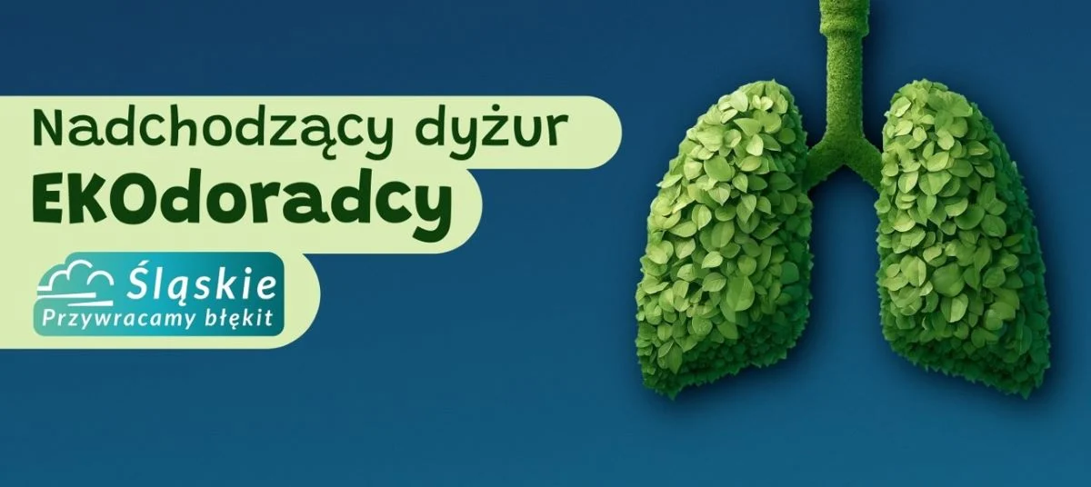 Dofinansowania i ekologiczne porady – dyżur Ekodoradcy już 8 listopada