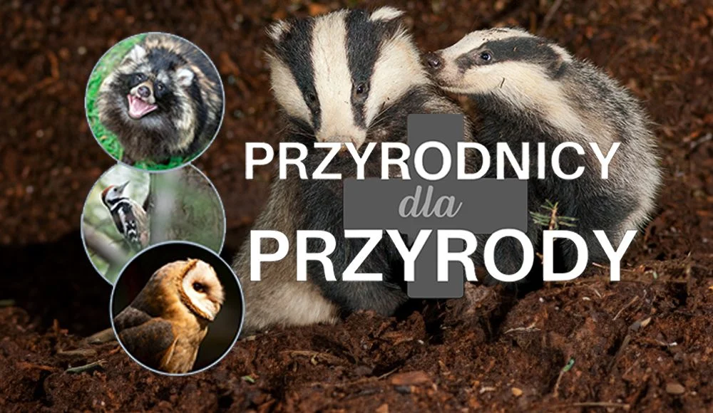 Ratujmy dziką faunę: wydarzenie 'Przyrodnicy dla Przyrody' już 23 listopada!