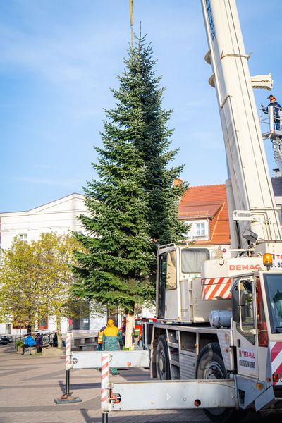 Rybnik rozbłyśnie świątecznie – nowe iluminacje i wyjątkowe dekoracje na rynku