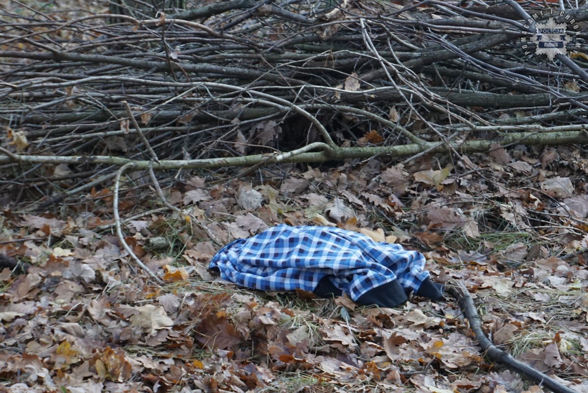 „Zaginięcie 2024” – Policja w akcji! Poszukiwania w rybnickim lesie zakończone sukcesem 7