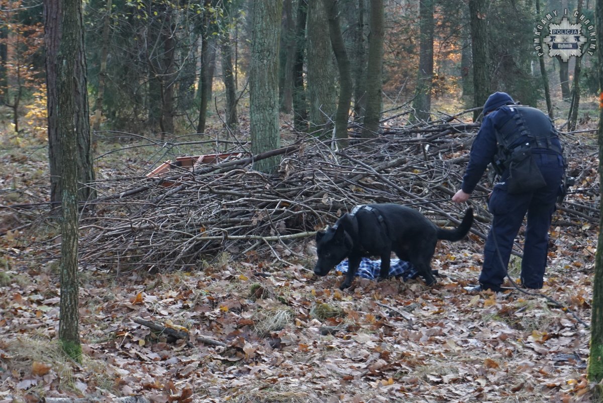 „Zaginięcie 2024” – Policja w akcji! Poszukiwania w rybnickim lesie zakończone sukcesem 10