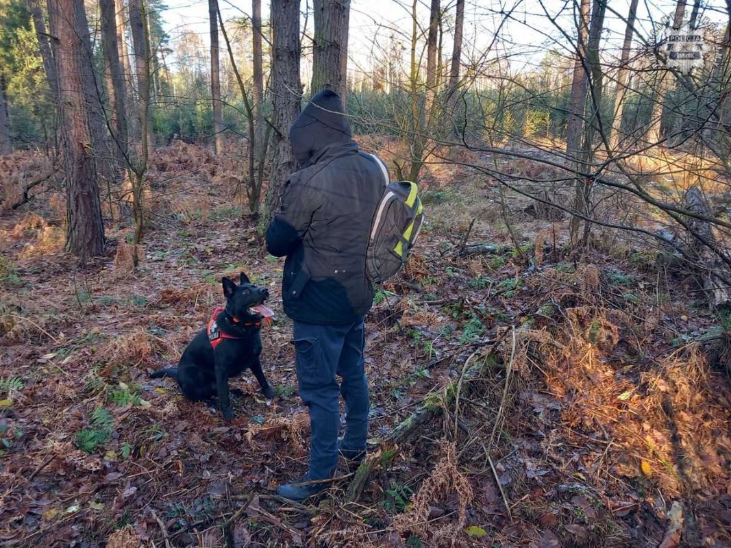 „Zaginięcie 2024” – Policja w akcji! Poszukiwania w rybnickim lesie zakończone sukcesem 11