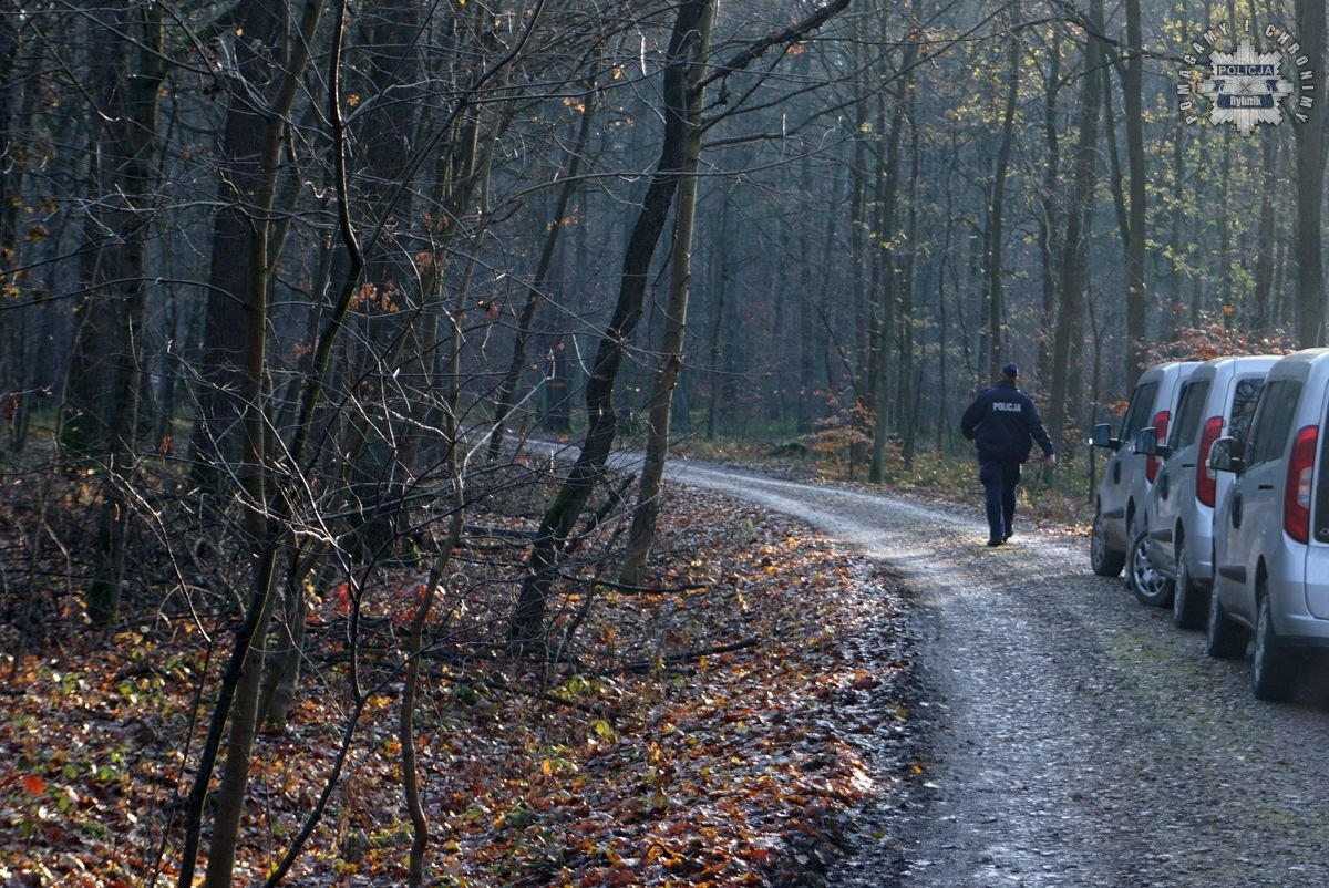 „Zaginięcie 2024” – Policja w akcji! Poszukiwania w rybnickim lesie zakończone sukcesem 14