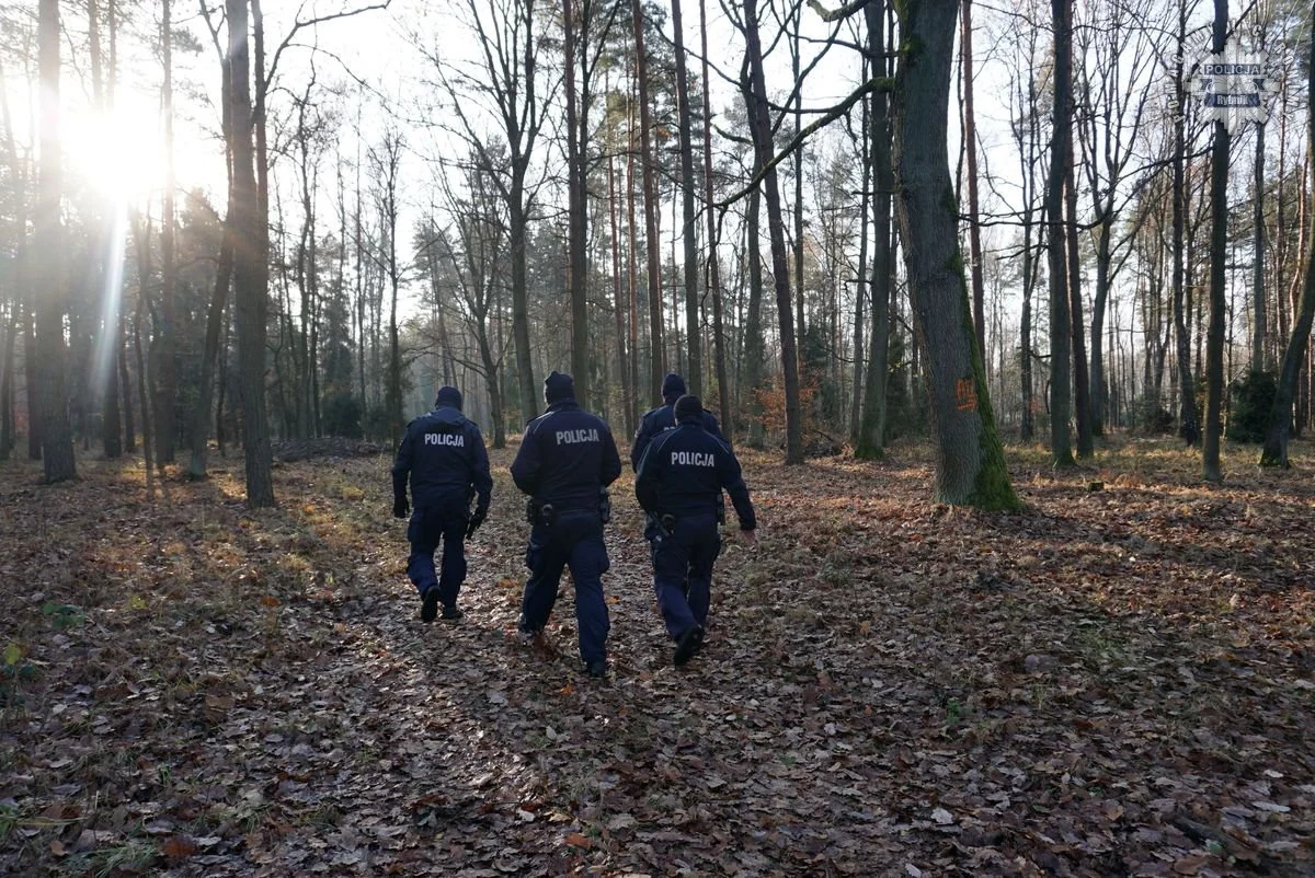„Zaginięcie 2024” – Policja w akcji! Poszukiwania w rybnickim lesie zakończone sukcesem