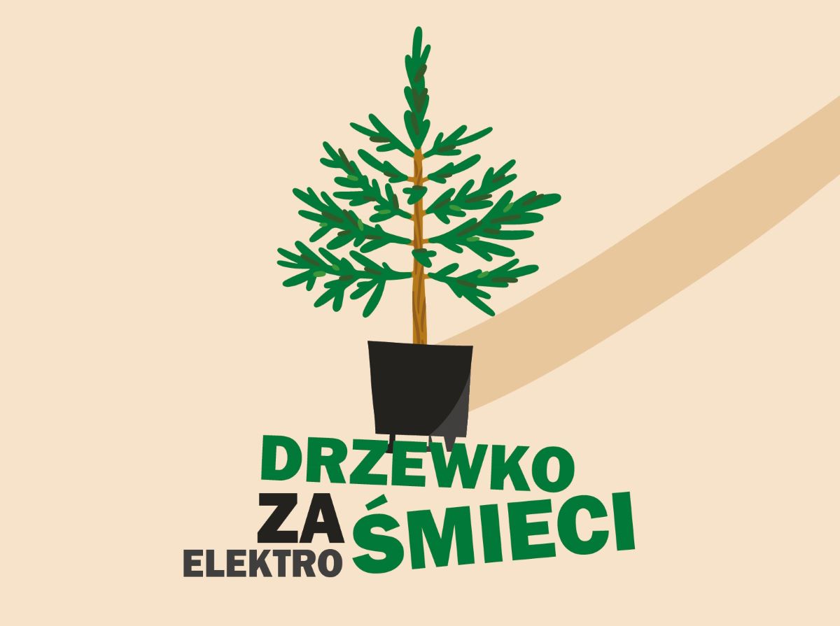 Przed nami wyjątkowe zbiórki elektrośmieci. Za zużyty sprzęt otrzymamy sadzonkę