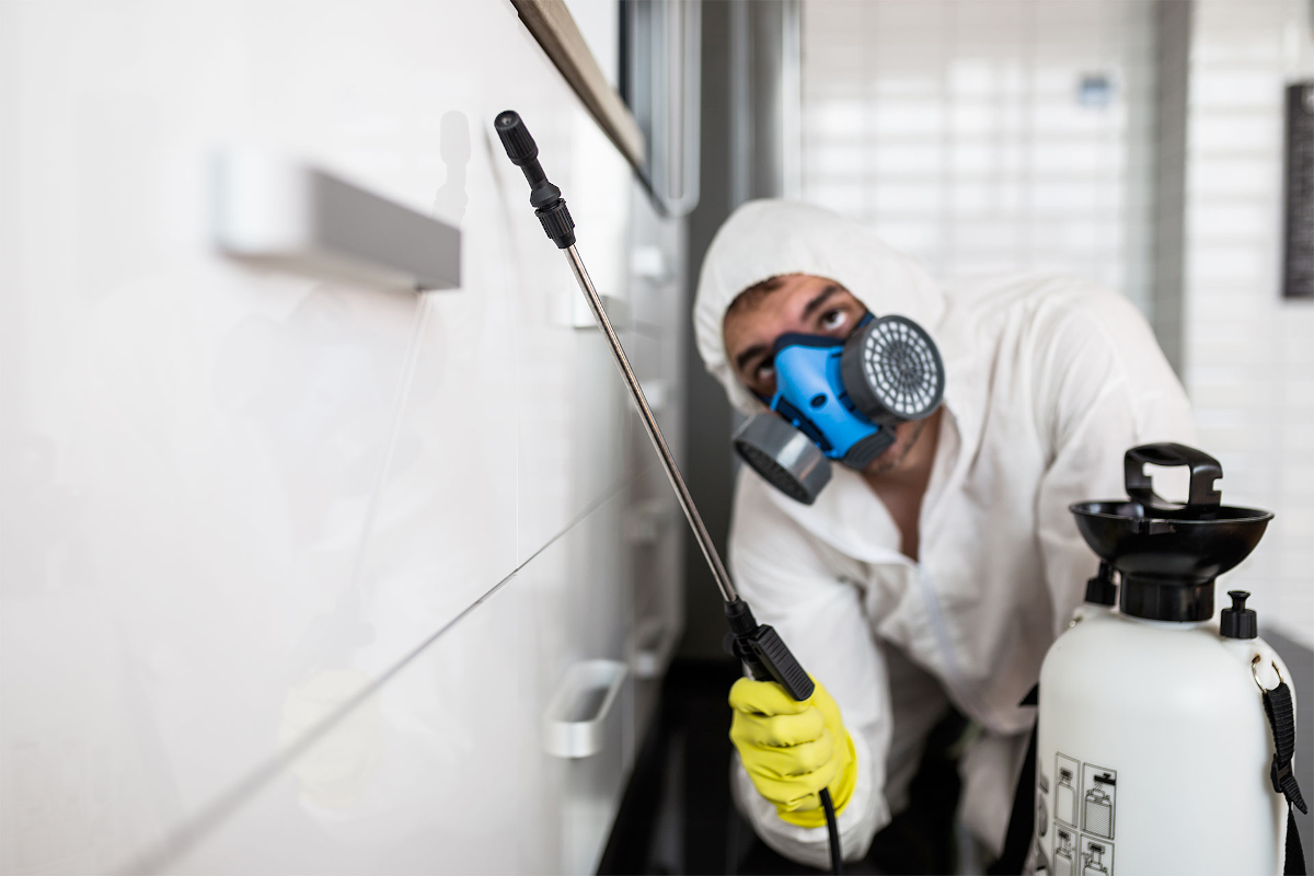 Ozonowanie po zmarłym – Czy warto wykonać dezynfekcję?