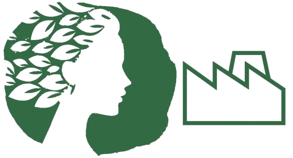 Wzmocnij się, działaj, zmieniaj – warsztaty Ekoliderki dla kobiet ze Śląska