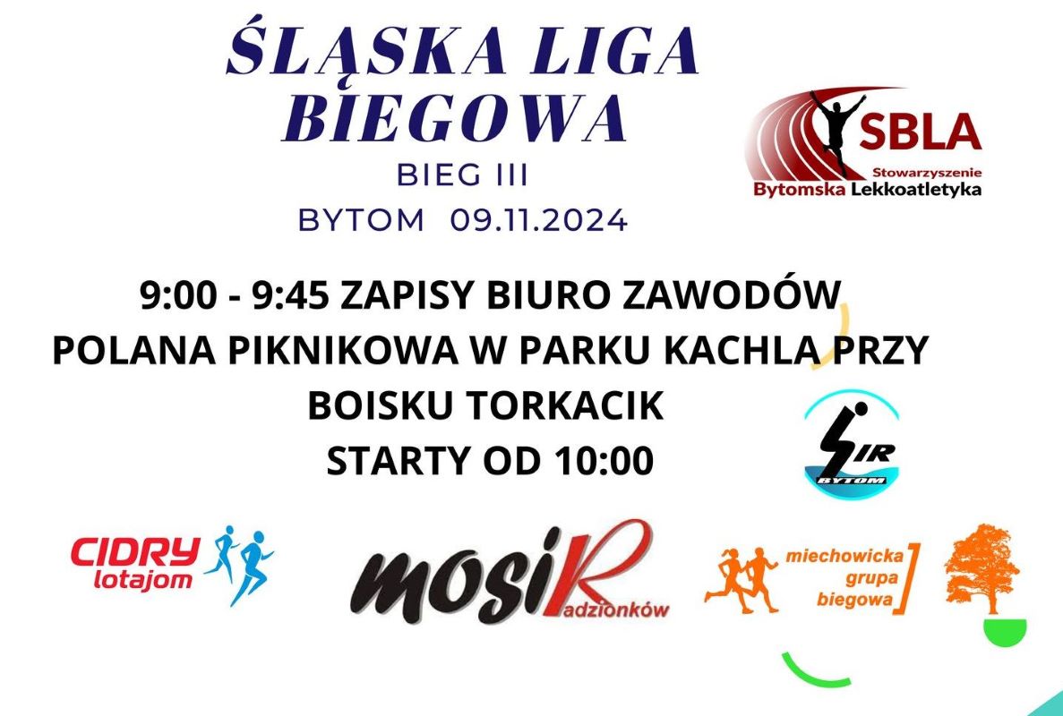 Czwarta edycja Śląskiej Ligi Biegowej: emocje i rywalizacja