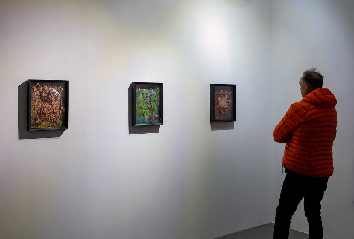 Kronika ożywia historię i naturę – nowe wystawy już dostępne! 4