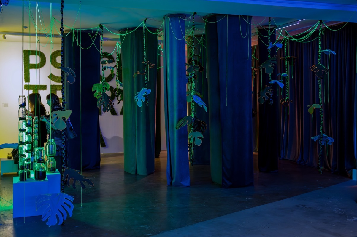 Kronika ożywia historię i naturę – nowe wystawy już dostępne! 12