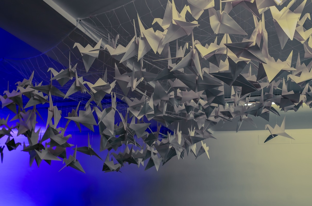 Kronika ożywia historię i naturę – nowe wystawy już dostępne! 15