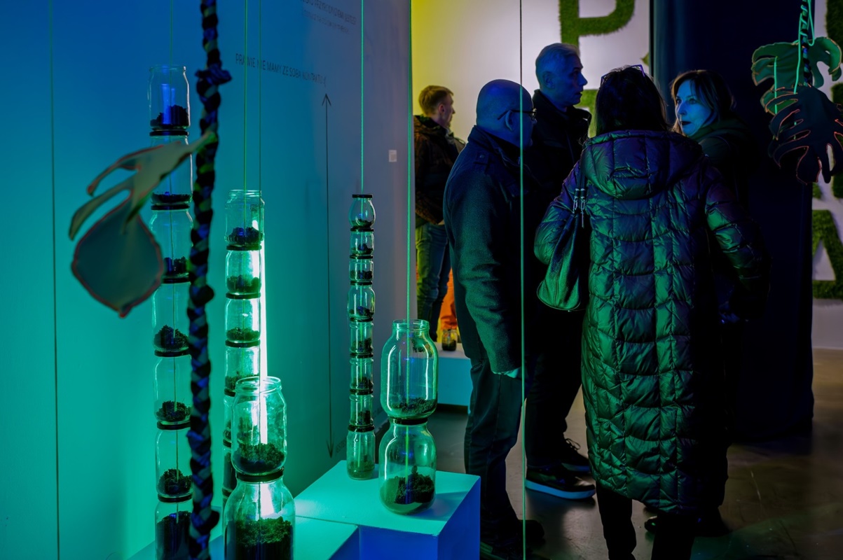 Kronika ożywia historię i naturę – nowe wystawy już dostępne! 16