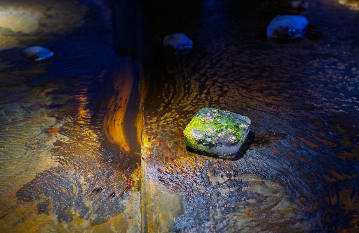 Kronika ożywia historię i naturę – nowe wystawy już dostępne! 20