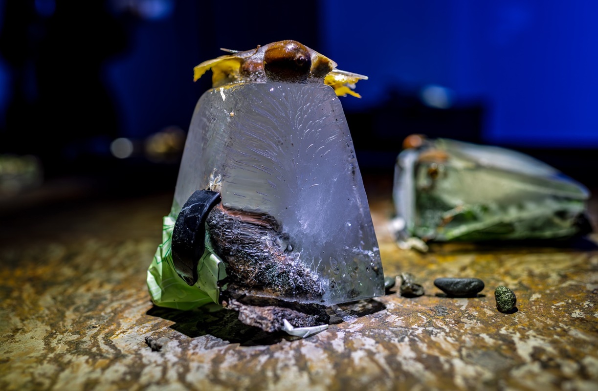 Kronika ożywia historię i naturę – nowe wystawy już dostępne! 21