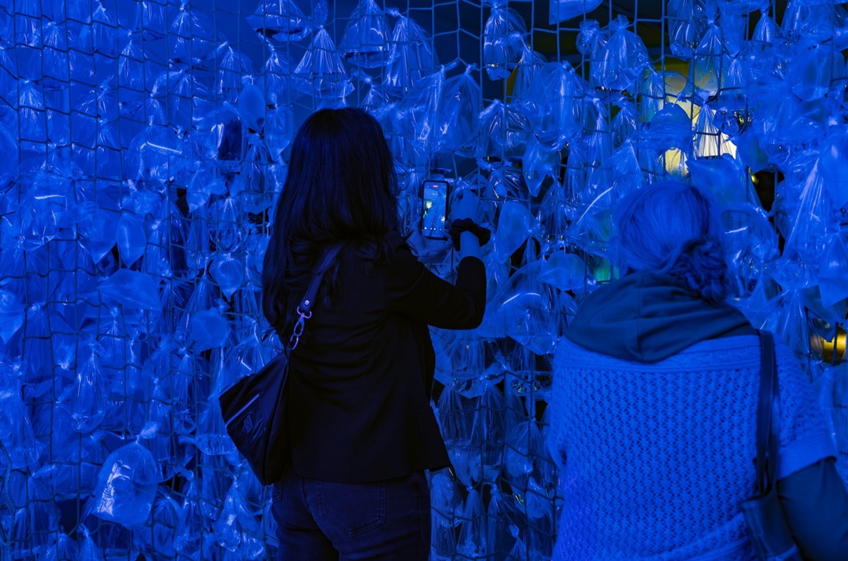 Kronika ożywia historię i naturę – nowe wystawy już dostępne! 24