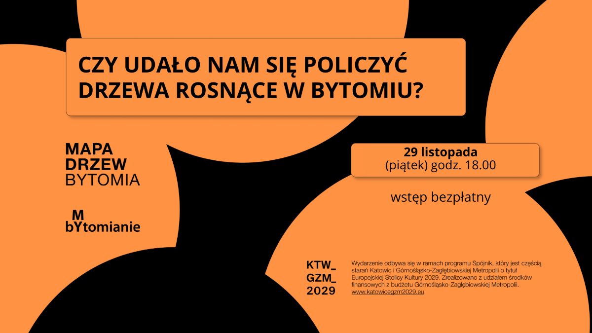 Ile drzew rośnie w Bytomiu? Sprawdź wyniki społecznej inwentaryzacji
